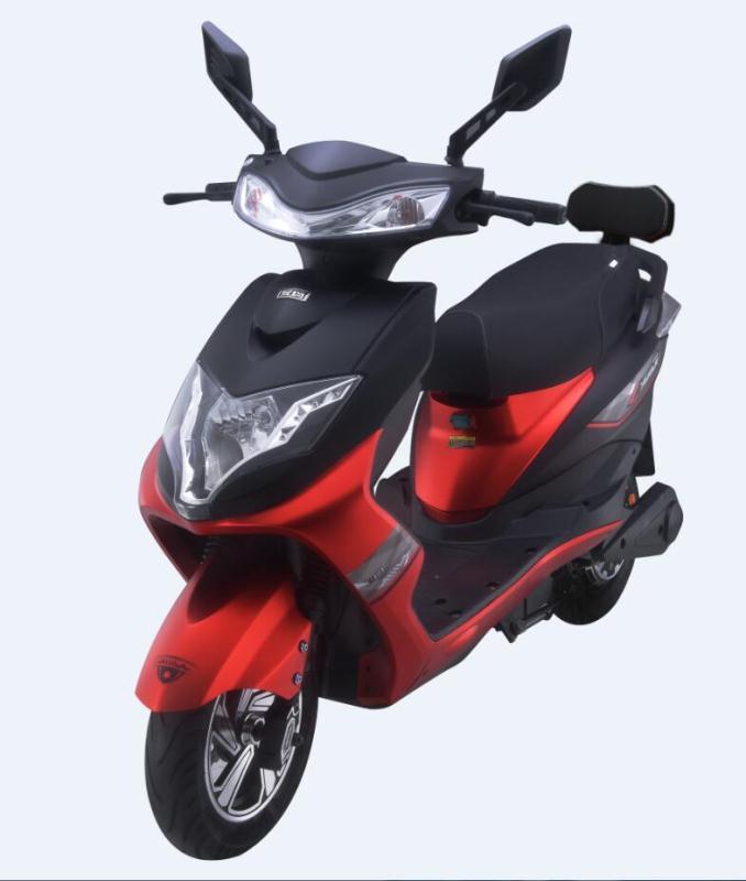 Emma Electric Motor LyM-019 full figure