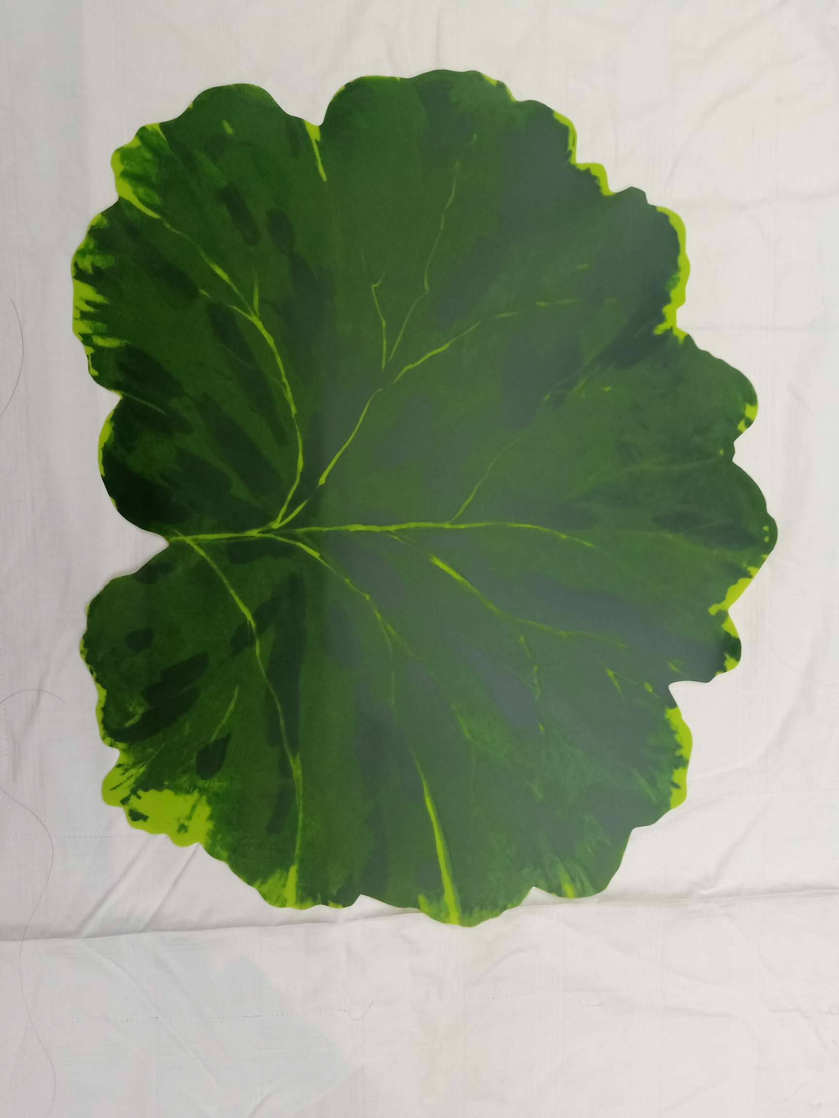 Pⅴc Leaf Shaped Placemat details Picture