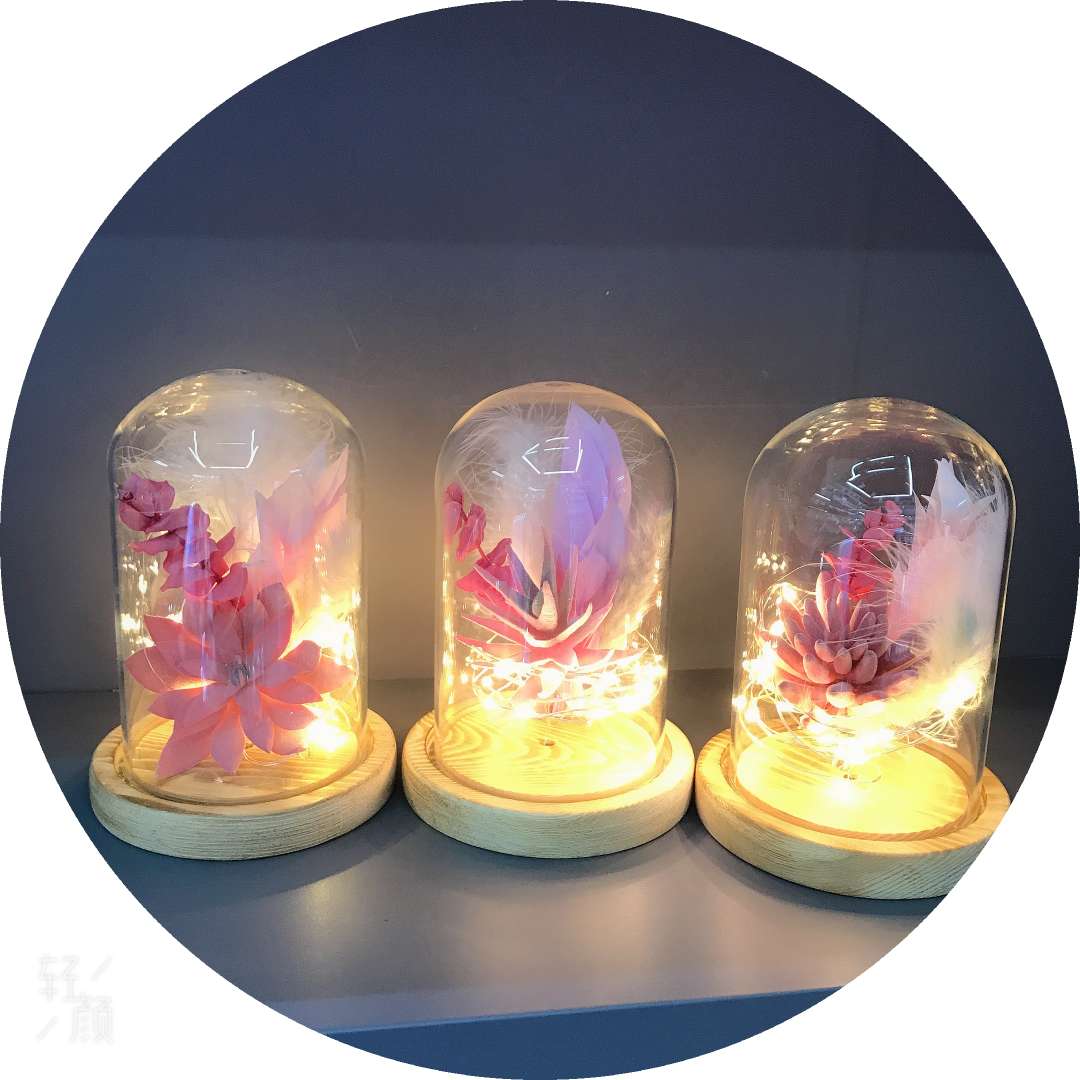 Creative Valentine's Day gift wholesale, artificial succulent plant potted plants, bonsai, glass covers, decorative ornaments, romantic colored lights, atmosphere lights, succulent plant decorative gifts details Picture