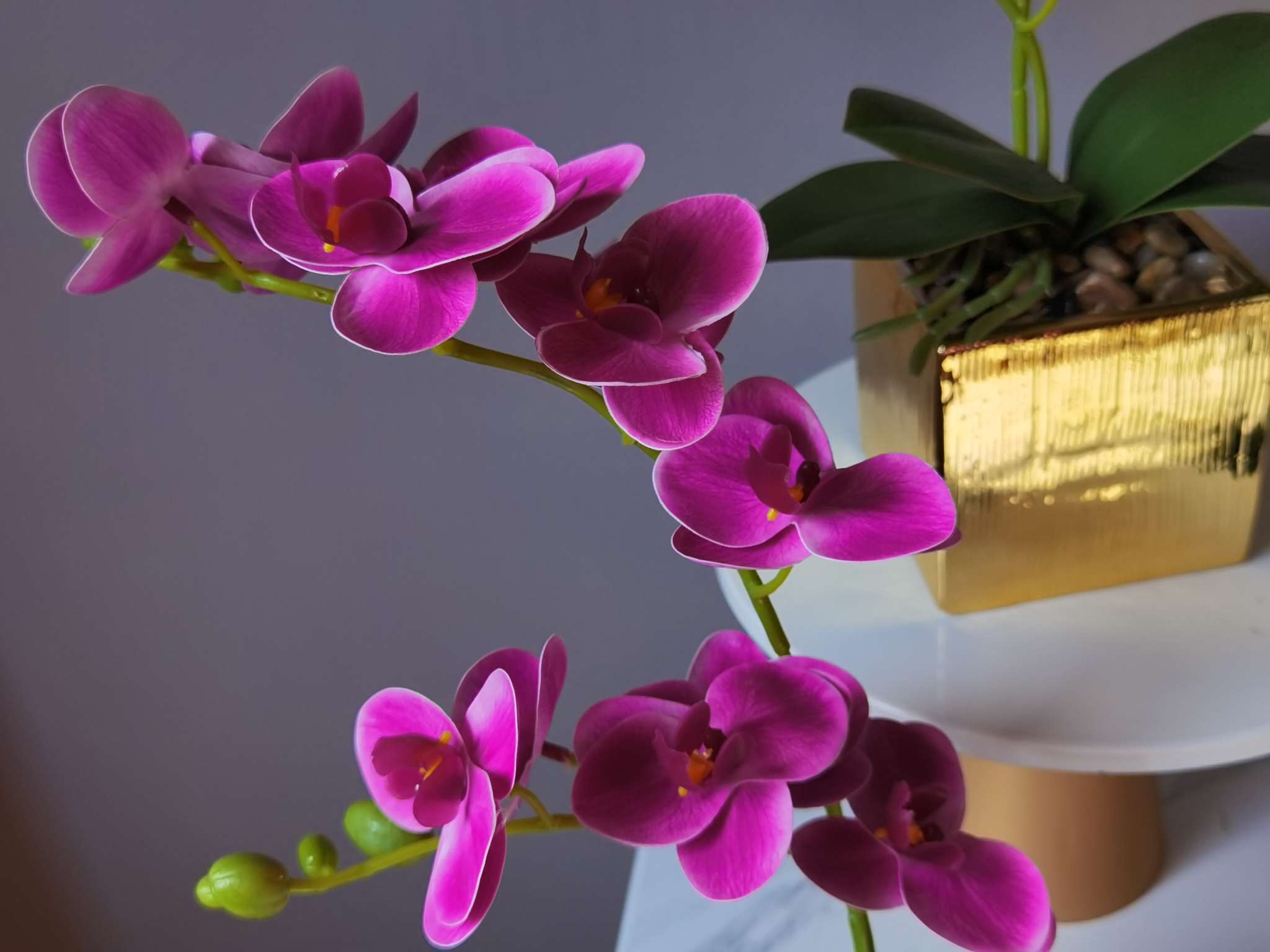 Light luxury simulation Phalaenopsis potted plant bonsai, home decoration ornaments, coffee tables, TV cabinets, dining tables, tabletop decorations, best-selling products for foreign trade undefined