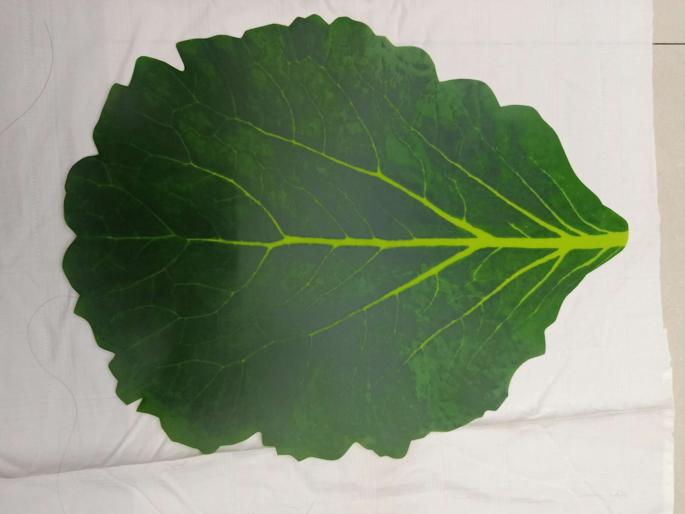 Pⅴc Leaf Shaped Placemat Application Scenario