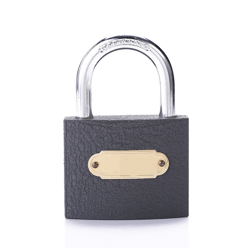 Grey Iron Padlock 20Mm Item Picture
