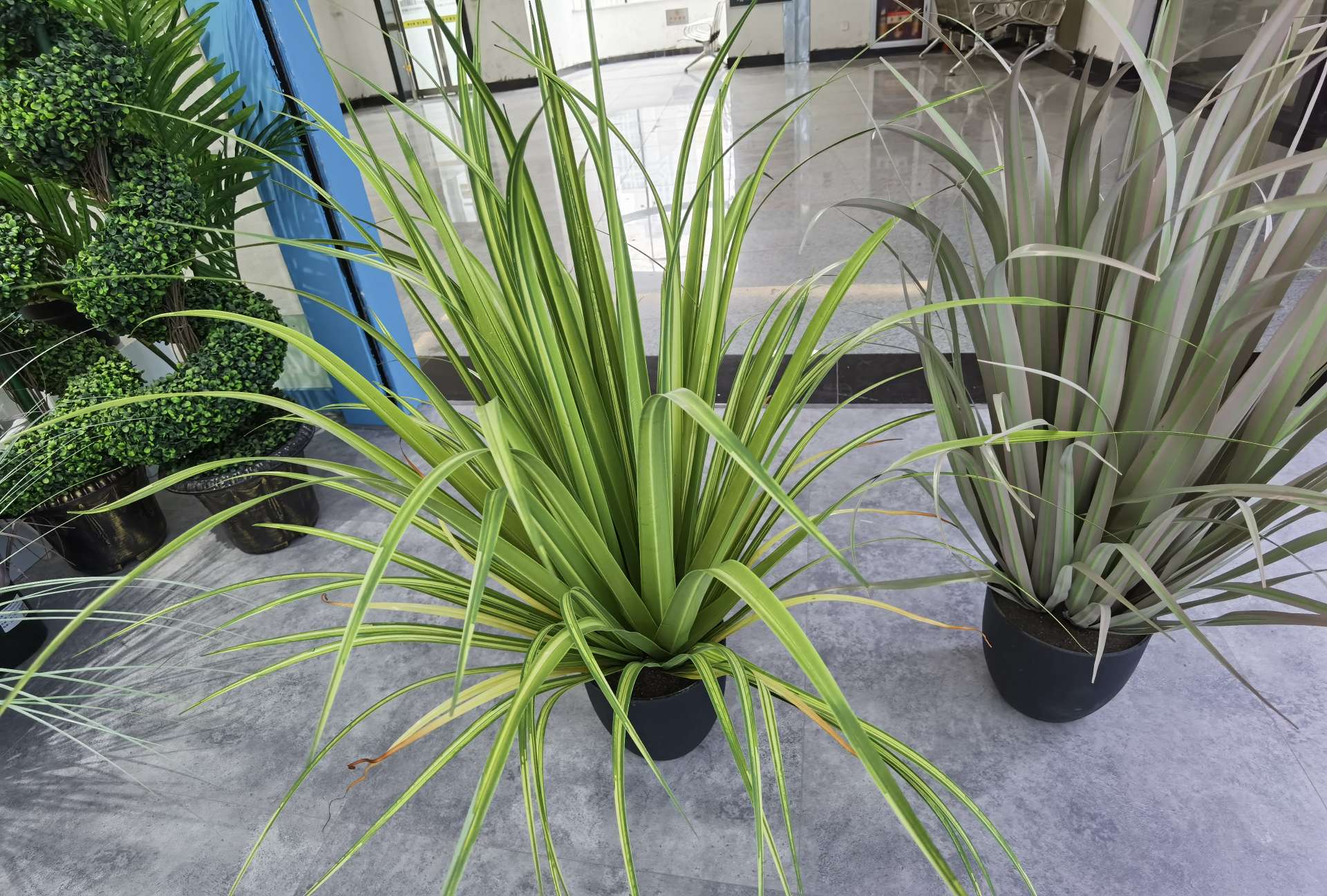 Artificial reeds, onion grass, potted plants, bonsai, home decoration items, coffee tables, TV cabinets, dining tables, tabletop decoration props, and decorative items undefined