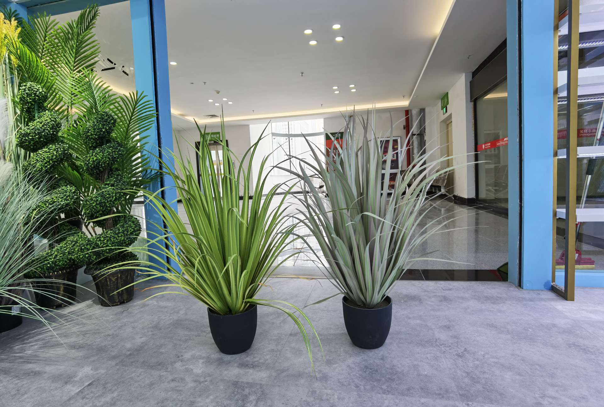 Artificial reeds, onion grass, potted plants, bonsai, home decoration items, coffee tables, TV cabinets, dining tables, tabletop decoration props, and decorative items undefined