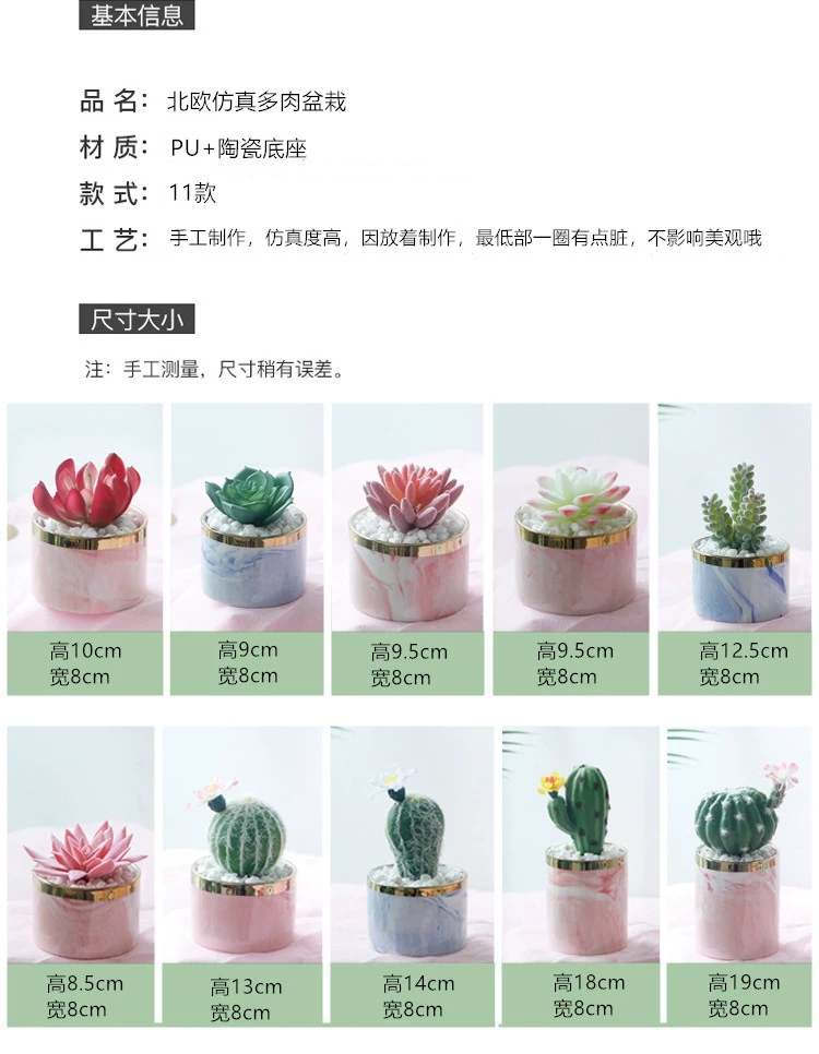 Simulated succulent plant potted plants, bonsai, home decoration items, coffee tables, TV cabinets, dining tables, tabletop decorations, best-selling products for foreign trade undefined