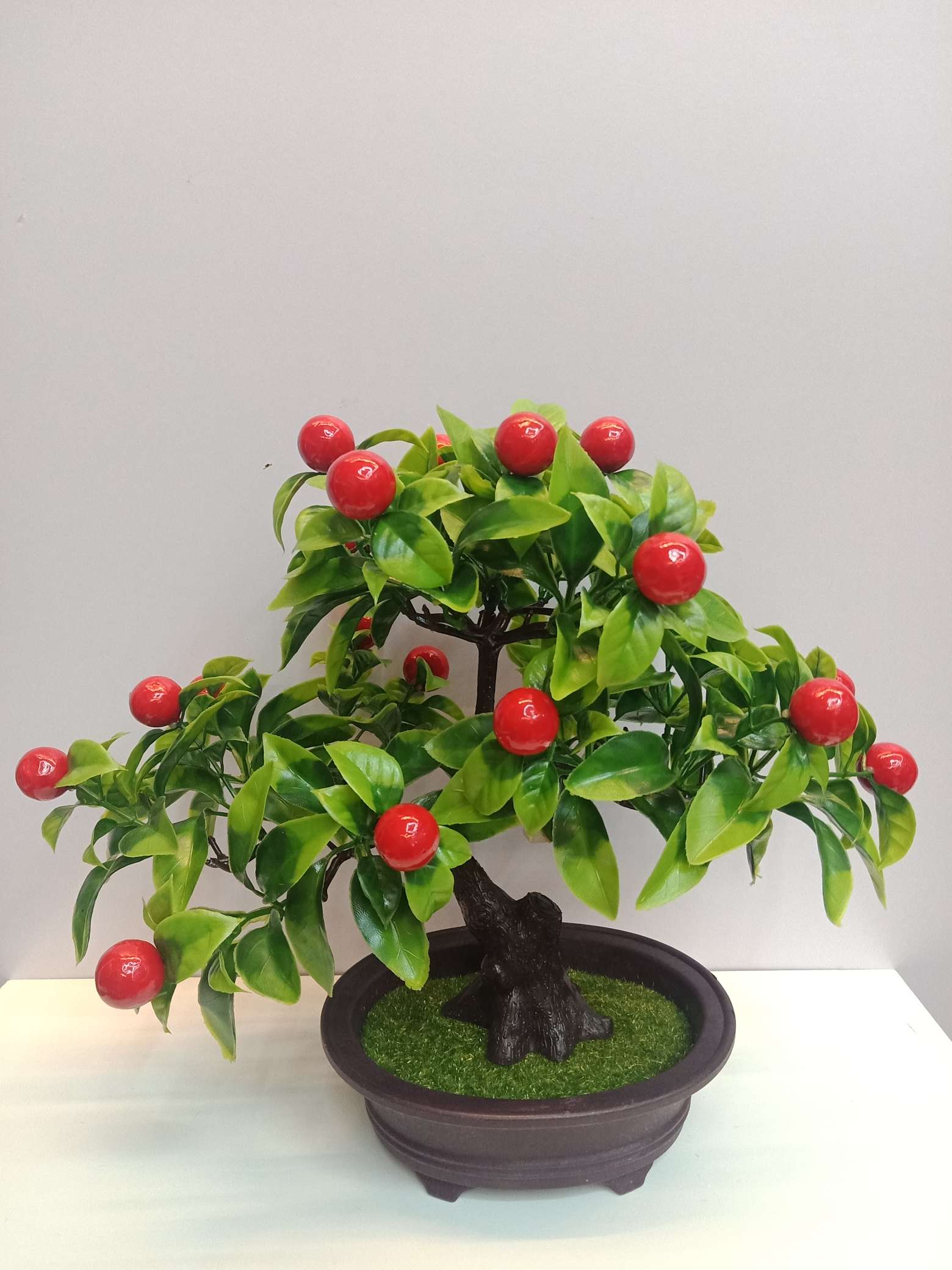Auspicious fruit tree details Picture