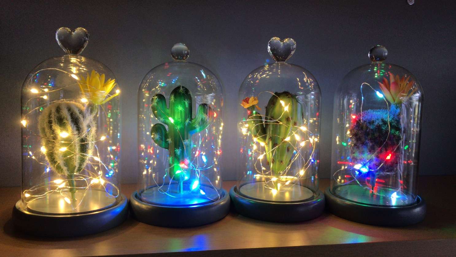 Creative Valentine's Day gift wholesale, artificial succulent plant potted plants, bonsai, glass covers, decorative ornaments, romantic colored lights, atmosphere lights, succulent plant decorative gifts Application Scenario