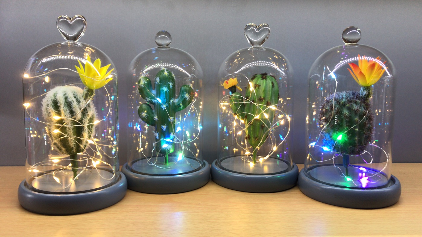 Creative Valentine's Day gift wholesale, artificial succulent plant potted plants, bonsai, glass covers, decorative ornaments, romantic colored lights, atmosphere lights, succulent plant decorative gifts undefined