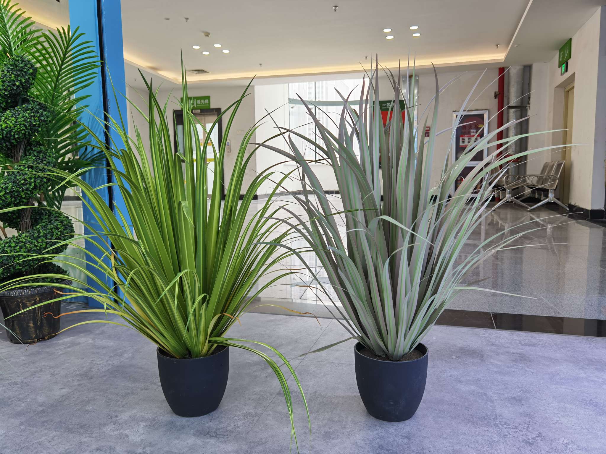 Artificial reeds, onion grass, potted plants, bonsai, home decoration items, coffee tables, TV cabinets, dining tables, tabletop decoration props, and decorative items undefined