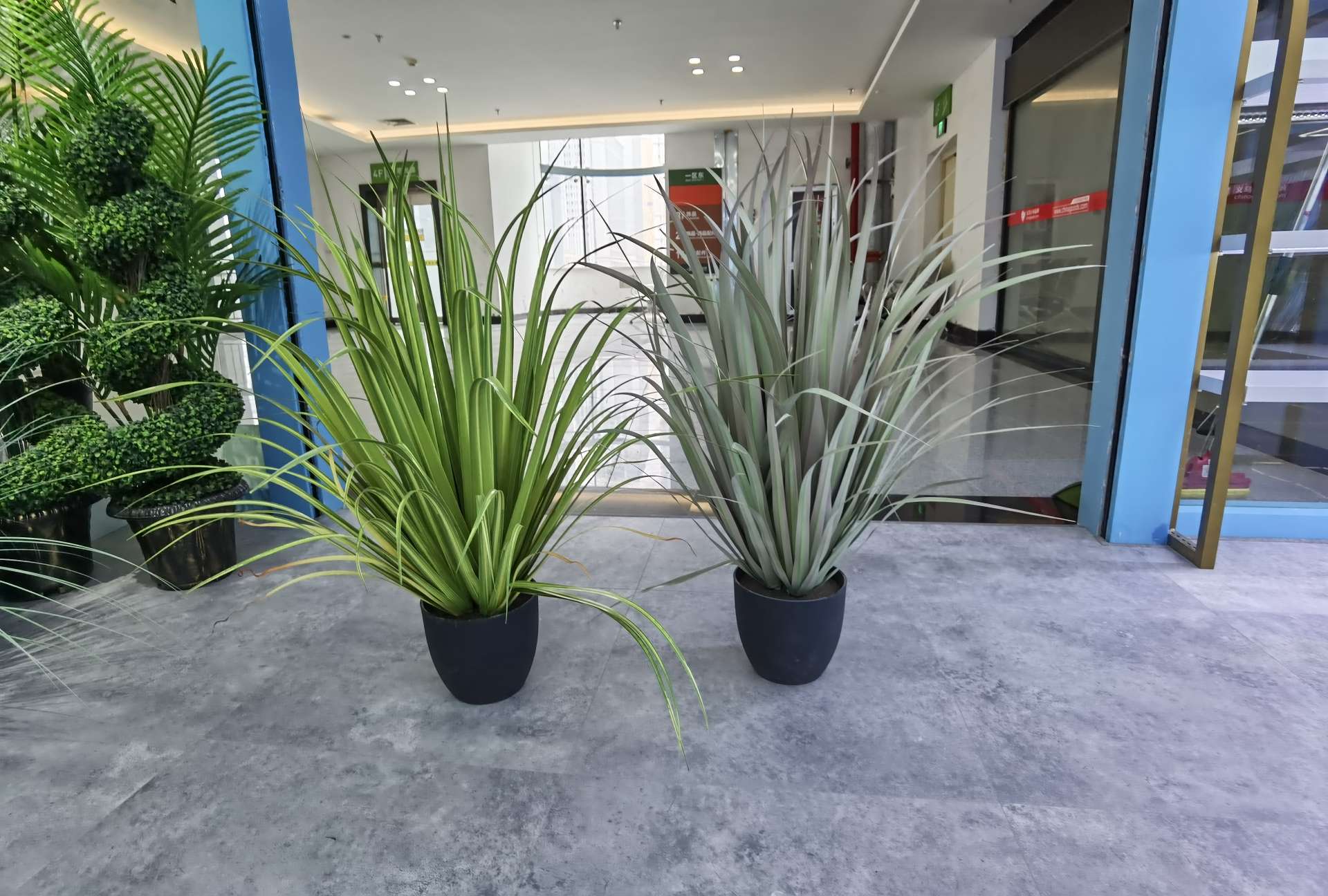 Artificial reeds, onion grass, potted plants, bonsai, home decoration items, coffee tables, TV cabinets, dining tables, tabletop decoration props, and decorative items Application Scenario