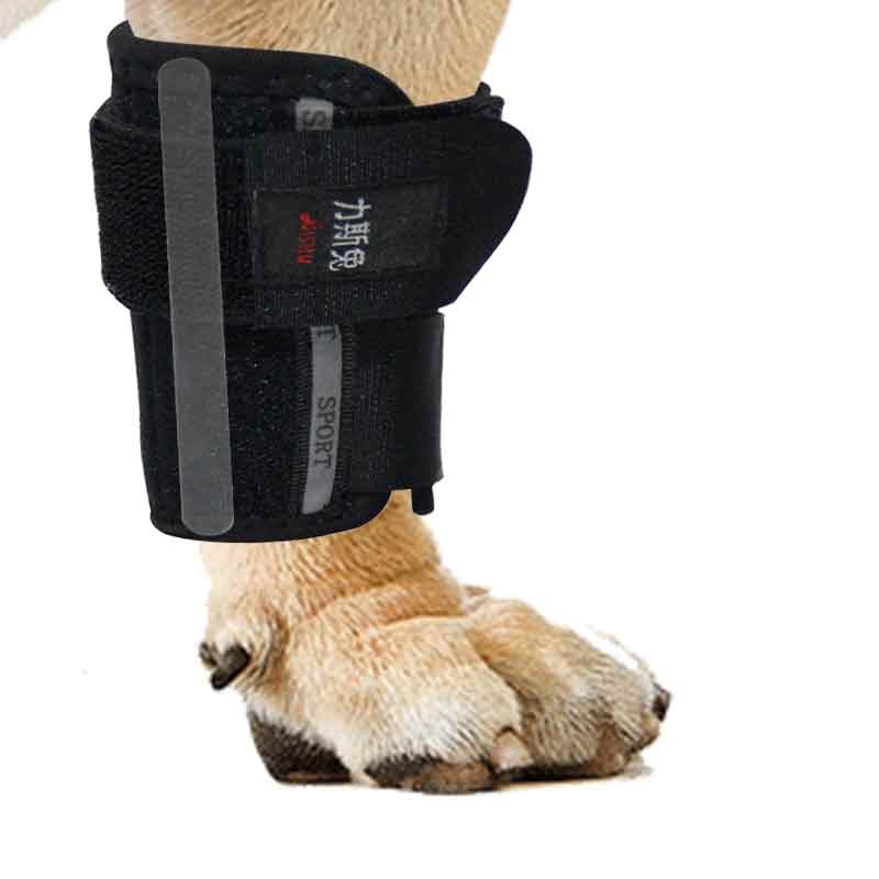 宠物狗骨折固定夹板护腿猫狗前腿后腿细节图
