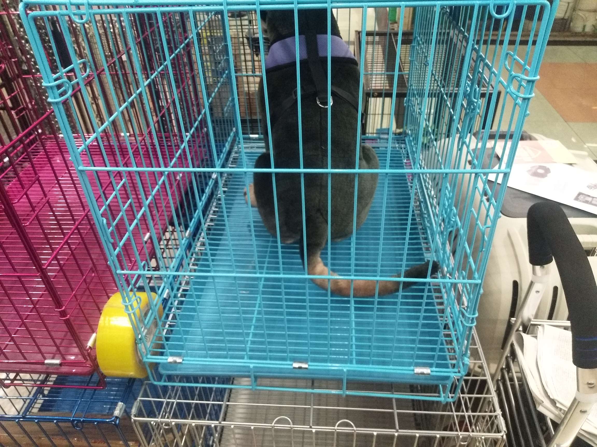 Nd-91 Pet cage details Picture