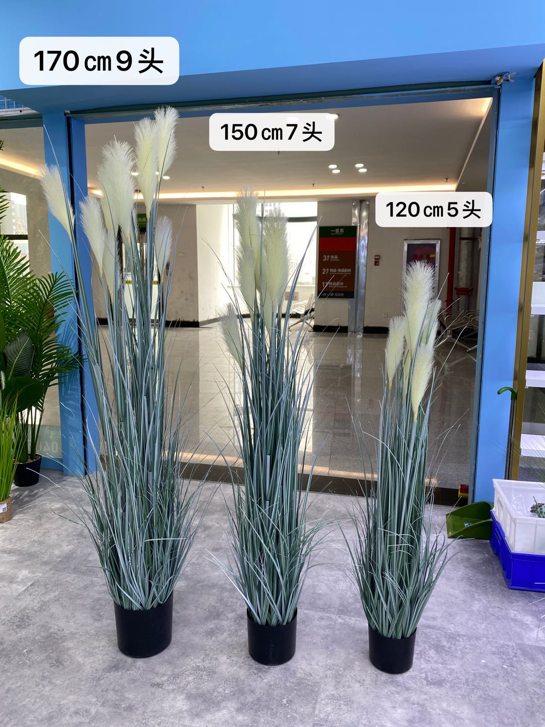 Simulated reeds, onion grass potted plants, bonsai, home decoration ornaments, window display decoration props, visual merchandising, wedding decoration ornaments Item Picture