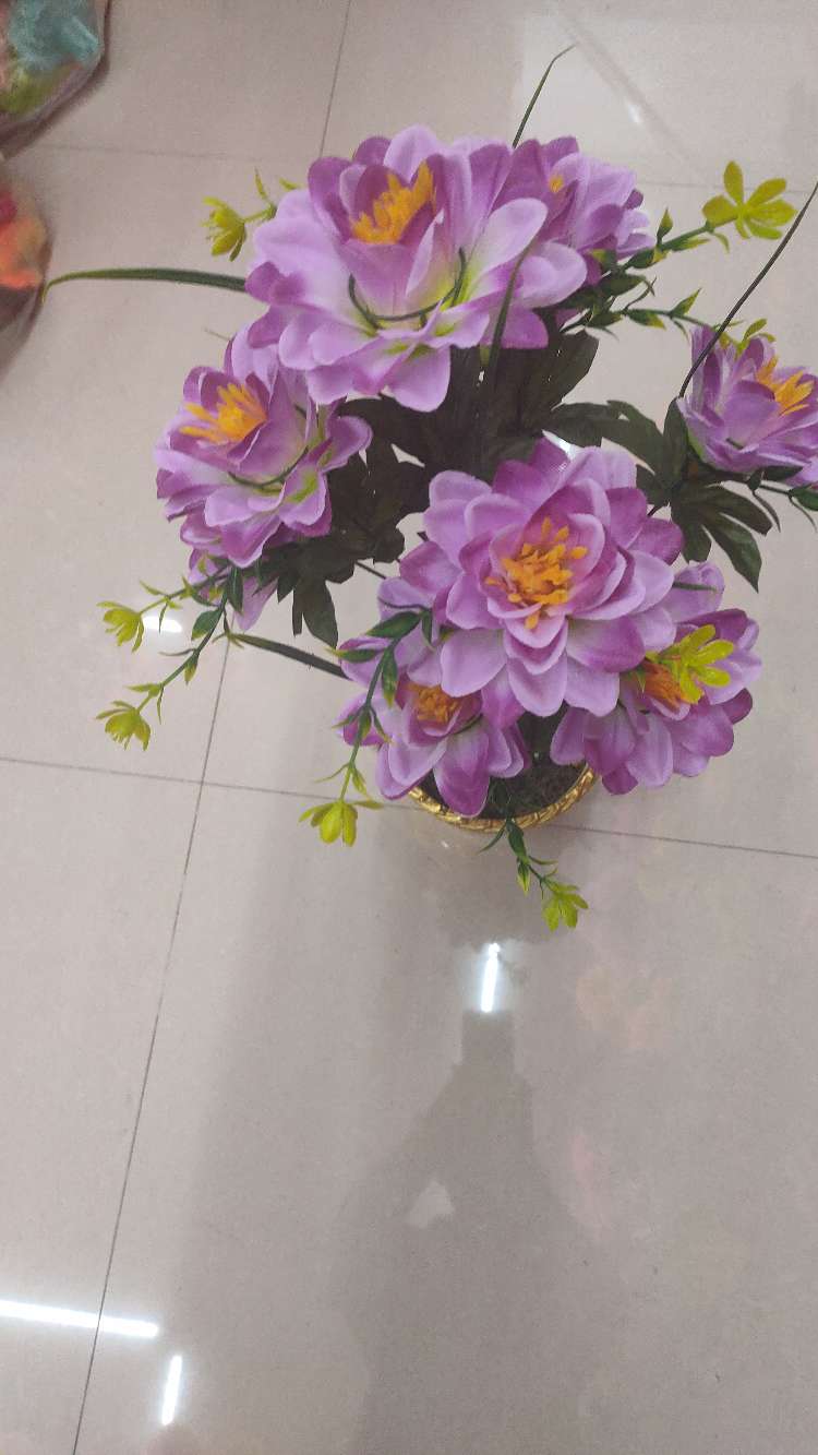 9 QueYao الأولى