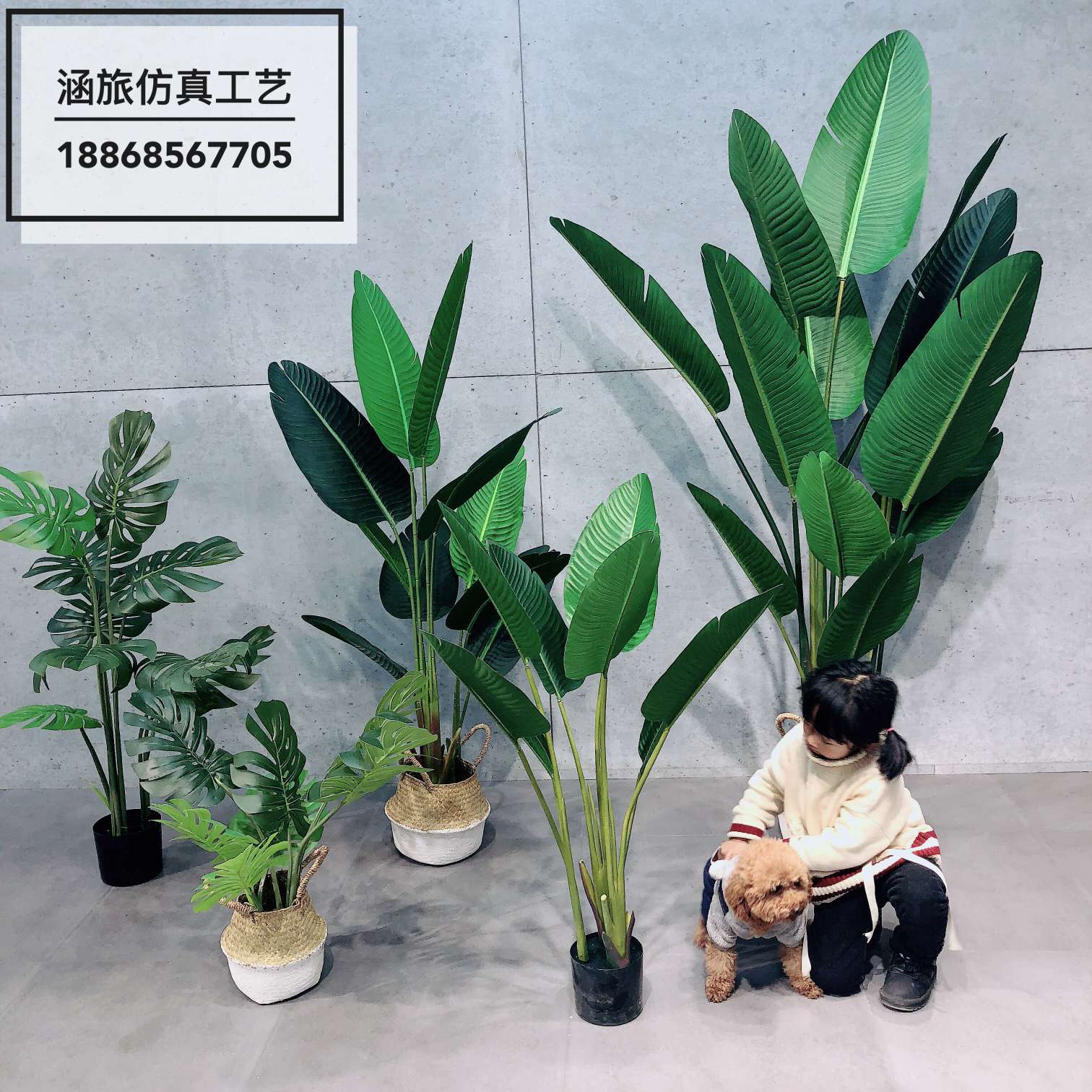 Popular online bestsellers: realistic canna lilies, traveler's lilies, turtle-back leaves, large plant potted plants, bonsai, shopping mall window display, and big tree ornaments Specification image