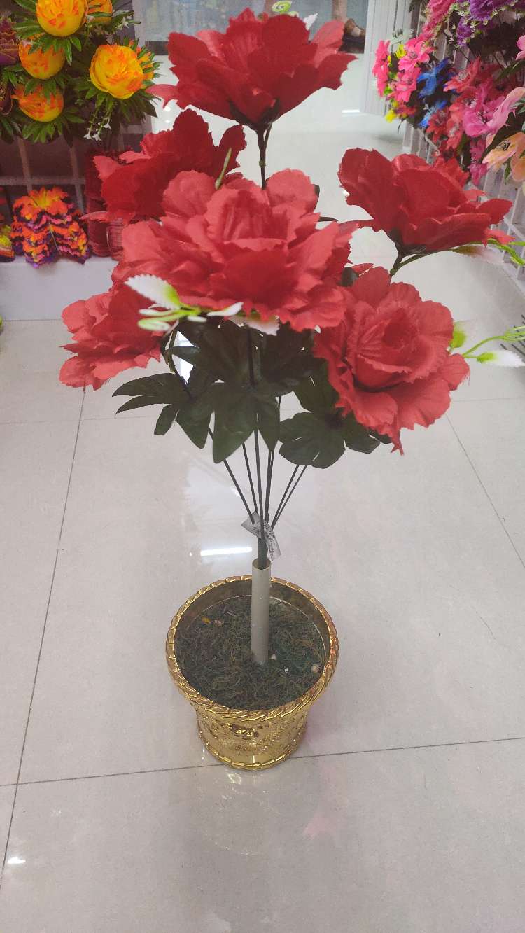 سبعة طاووس ماي details Picture