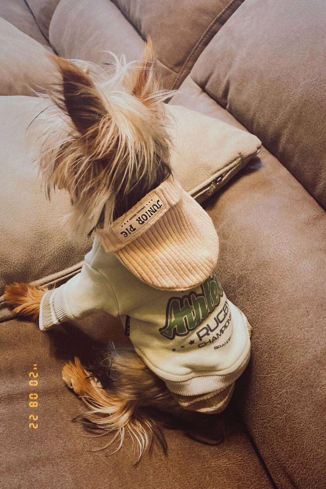 Fresh buyers show, autumn pet baby clothes come to order! It would be a pity to pass!