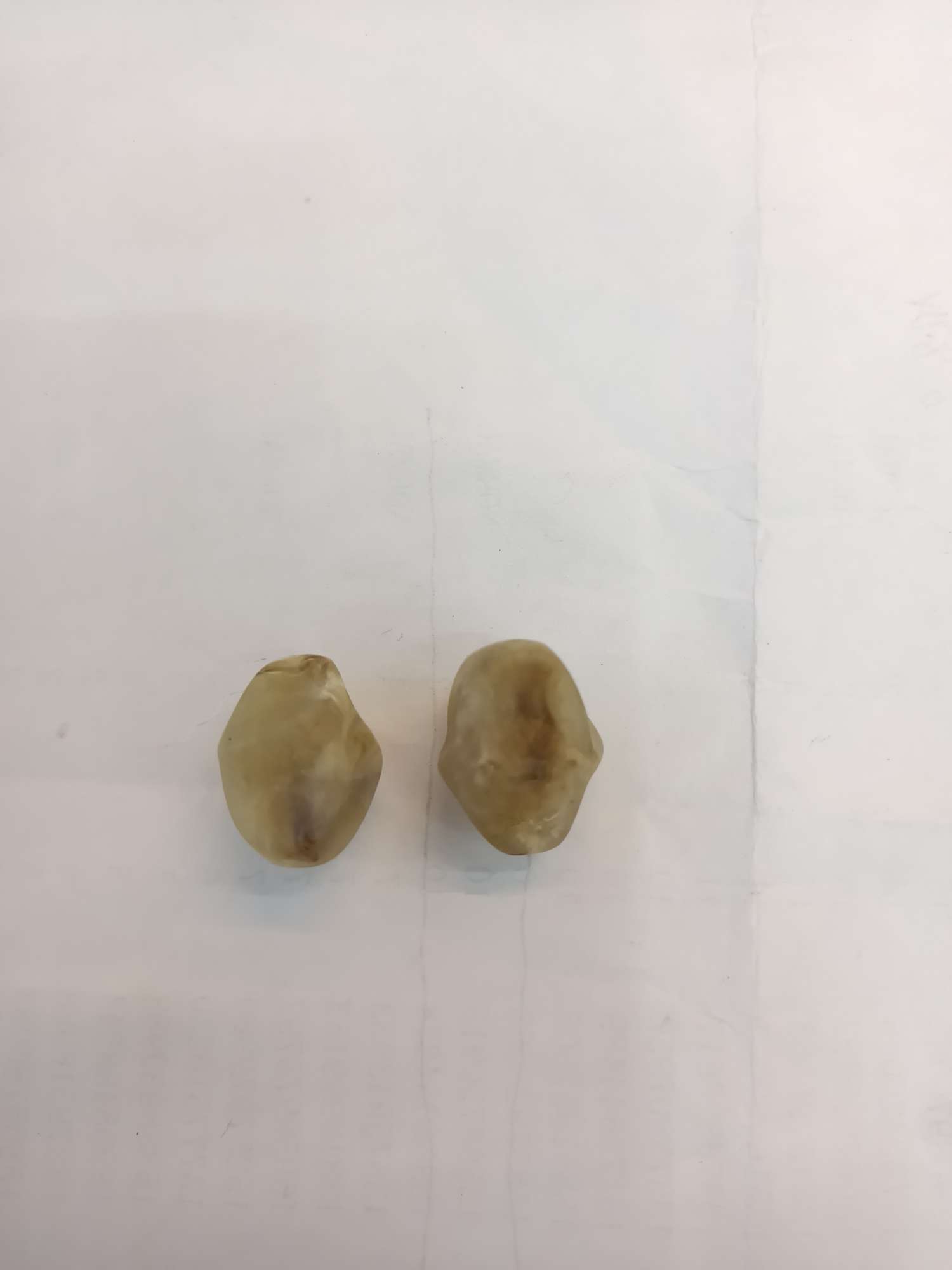 Resin Fitting