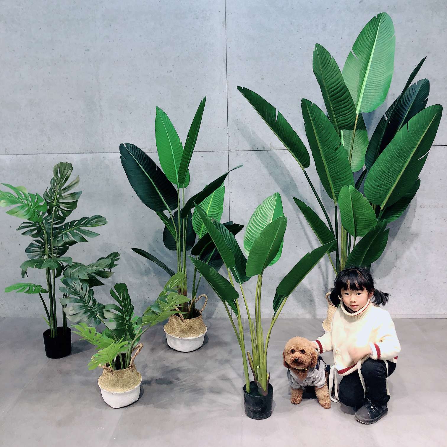 Popular online bestsellers: realistic canna lilies, traveler's lilies, turtle-back leaves, large plant potted plants, bonsai, shopping mall window display, and big tree ornaments undefined