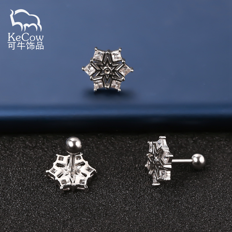 Changsheng Jewelry's original zircon mini titanium steel ear studs, personalized women's earrings wholesale details Picture