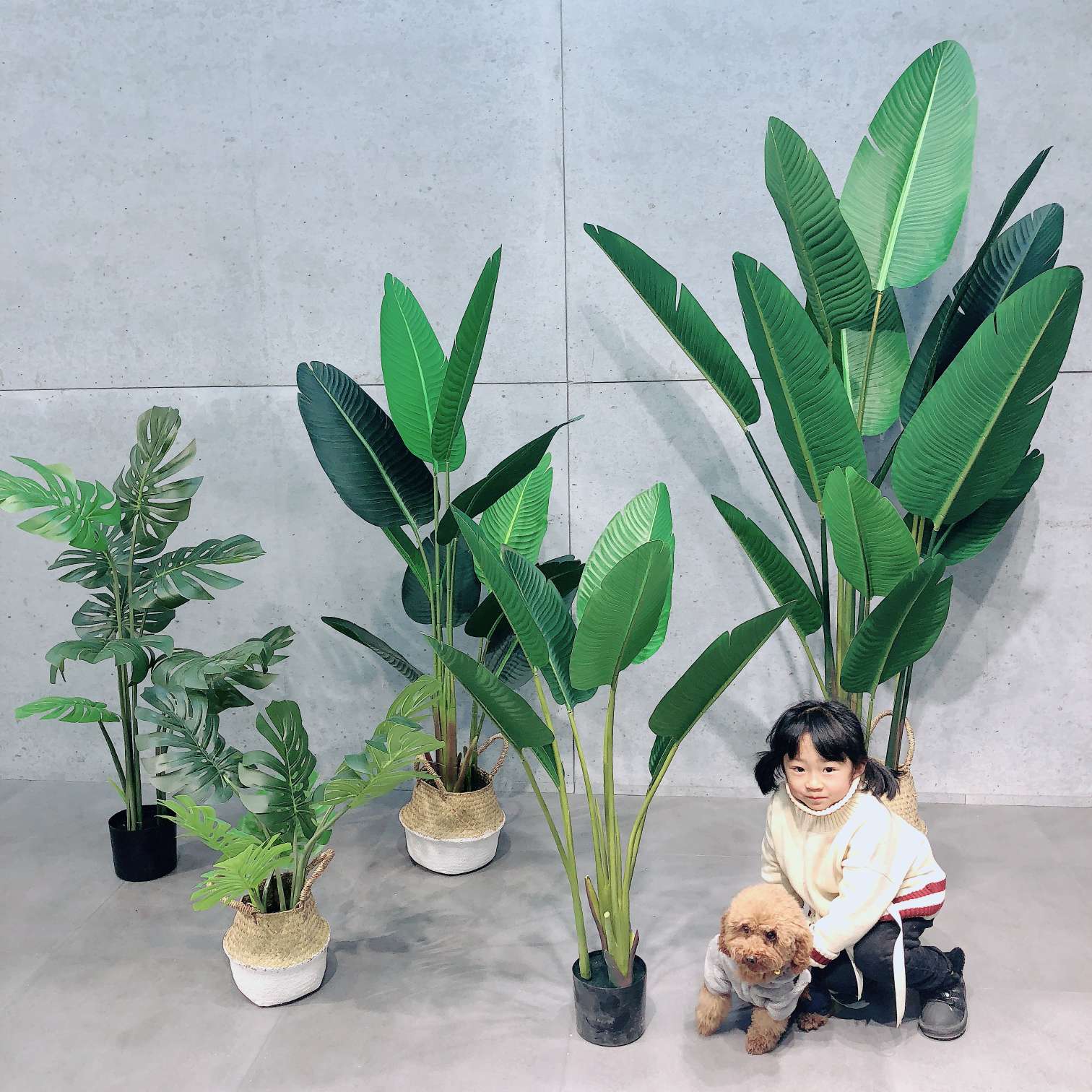 Popular online bestsellers: realistic canna lilies, traveler's lilies, turtle-back leaves, large plant potted plants, bonsai, shopping mall window display, and big tree ornaments undefined