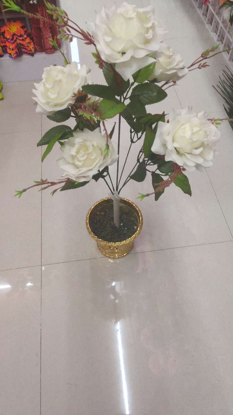 سبعة ورود details Picture