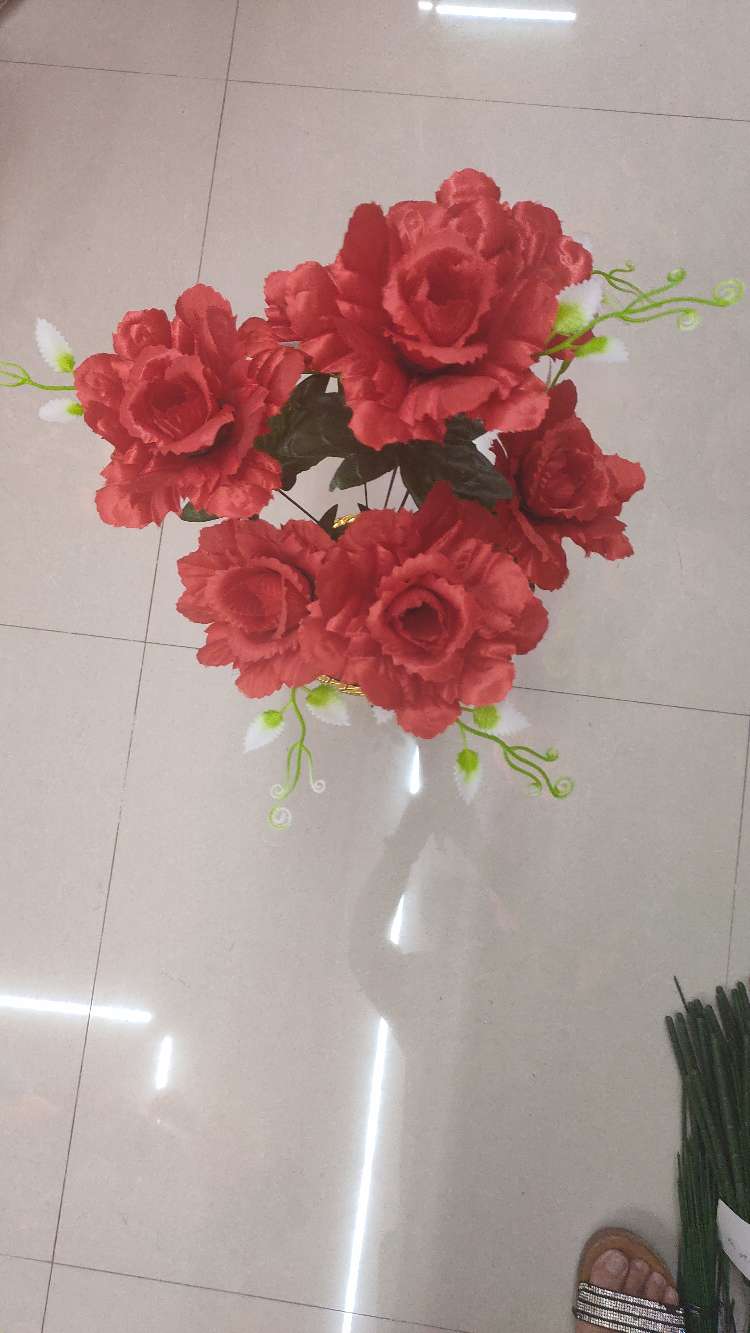 سبعة طاووس ماي