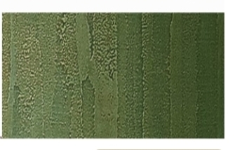 PLASTER马力诺玛莫系列涂料5kg花纹绿详情图3