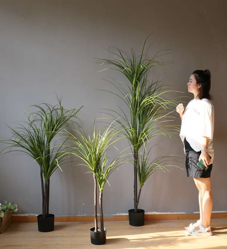 The popular large-scale artificial tree, the Dragon's Blood Tree and the Brazilian iron tree, have become bestsellers on the Internet