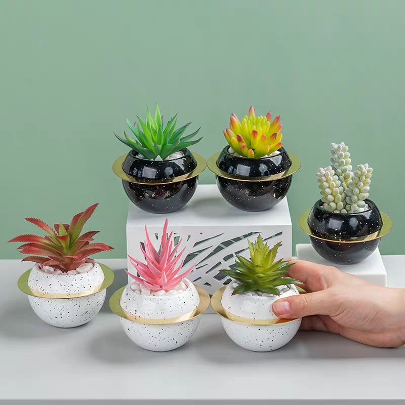 涵旅工艺品创意陶瓷星球仿真多肉植物盆栽盆景家居装饰摆件茶几电视柜餐桌桌面装饰品