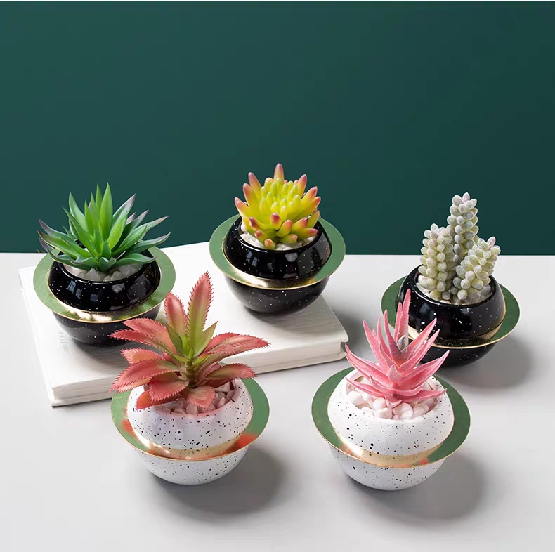 涵旅工艺品创意陶瓷星球仿真多肉植物盆栽盆景家居装饰摆件茶几电视柜餐桌桌面装饰品详情图10