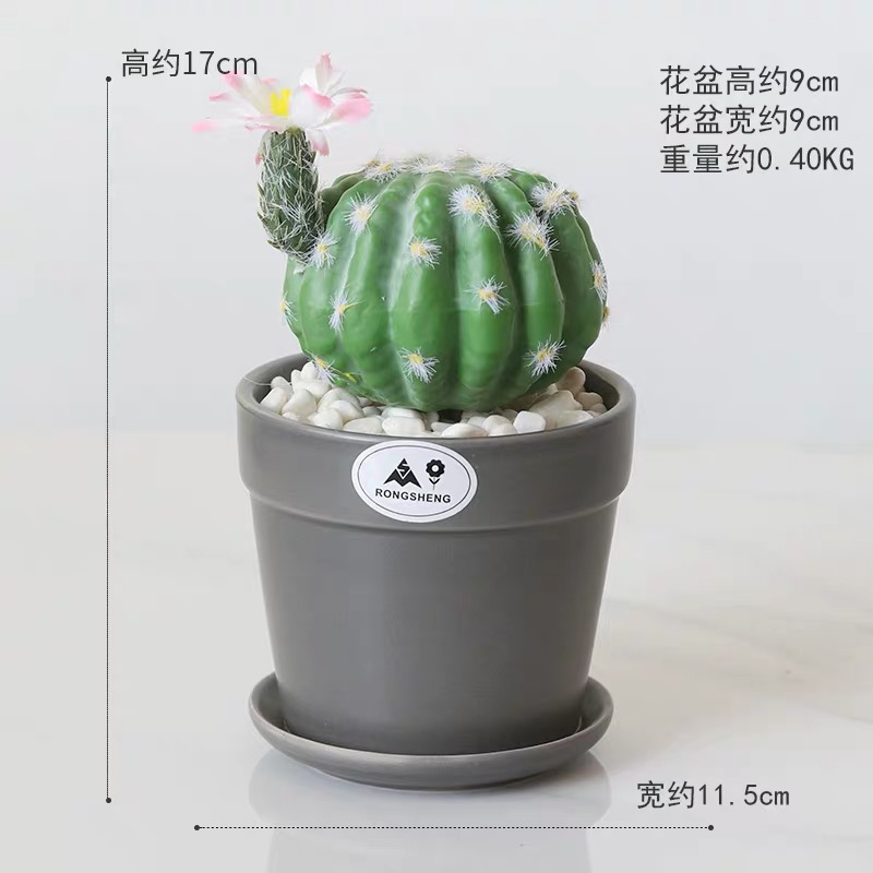 Ceramic simulation succulent plant potted bonsai details Picture