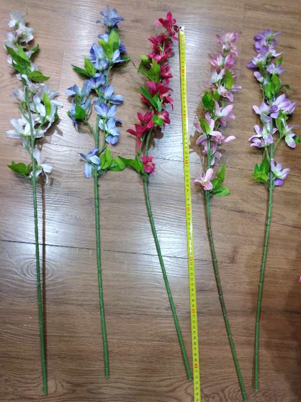 Single Dendrobium details Picture