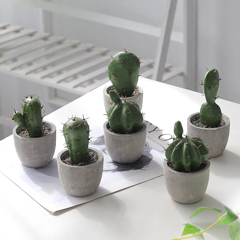 Hanlv Handicrafts Creative Mini Simulated cactus Plant potted Bonsai undefined