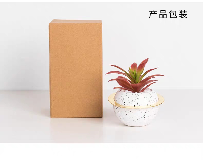涵旅工艺品创意陶瓷星球仿真多肉植物盆栽盆景家居装饰摆件茶几电视柜餐桌桌面装饰品产品图
