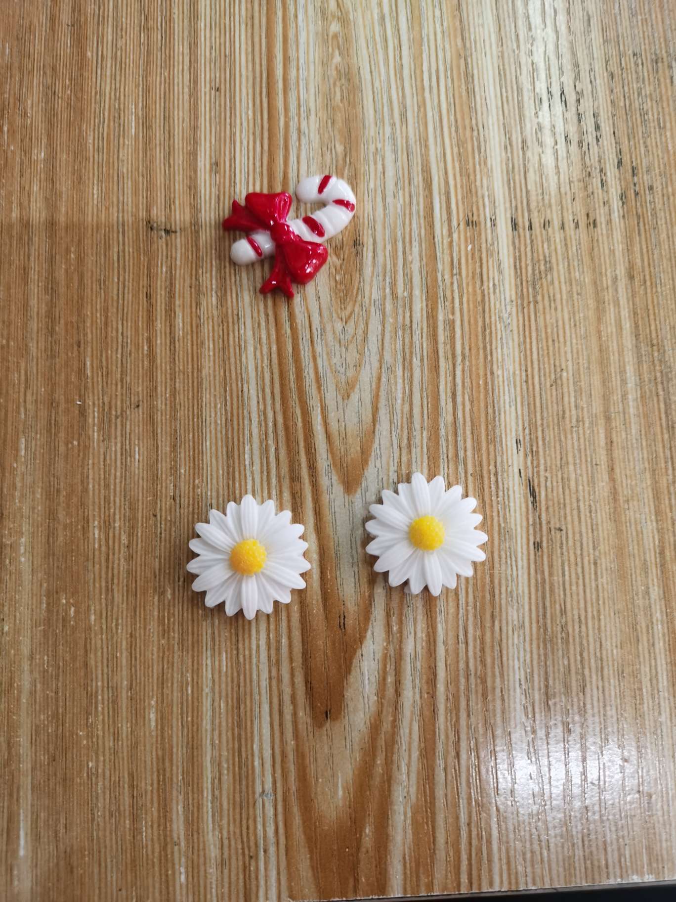 网红菊花