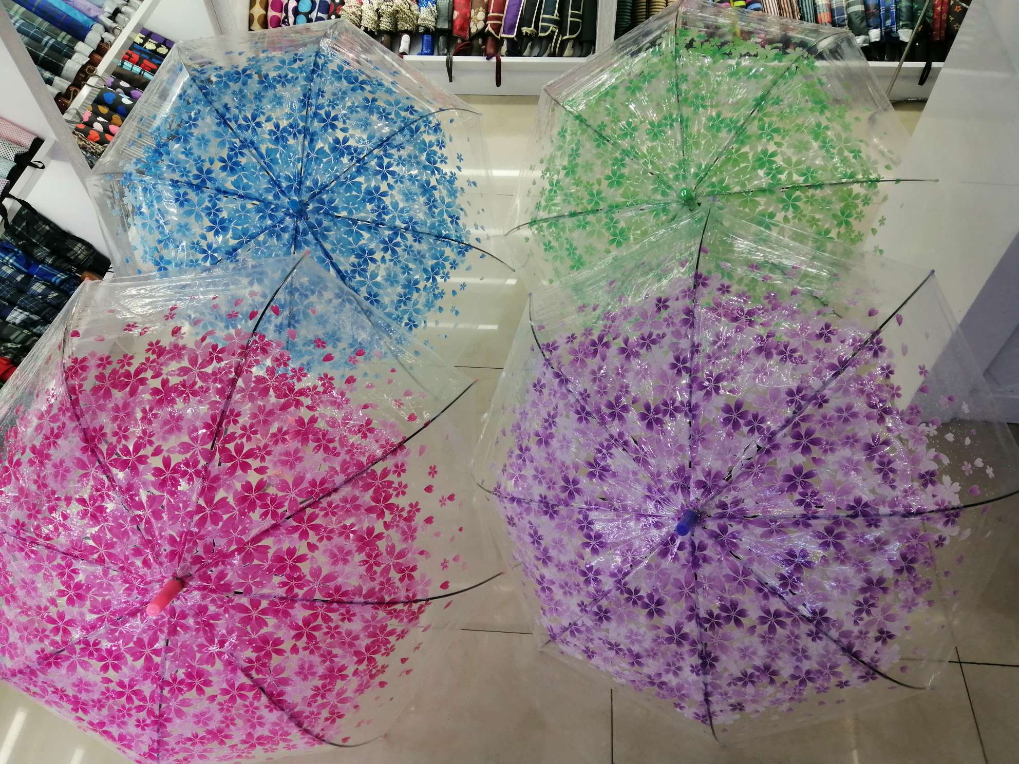 60#透明阿波罗樱花