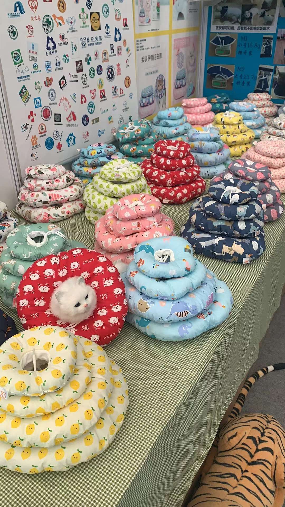 充棉萌萌圈医院爆款推荐，今年最火爆单品，猫咪的最爱！