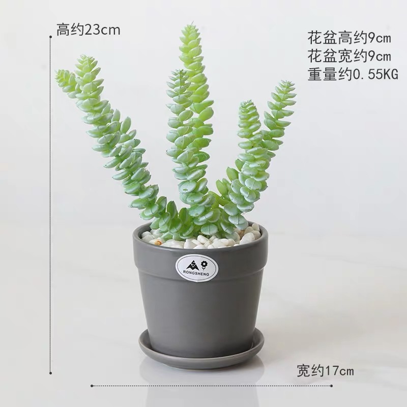 Ceramic simulation succulent plant potted bonsai Specification image