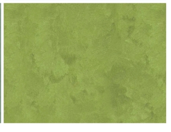 PLASTER Sevina Silk Series 4kg Green undefined