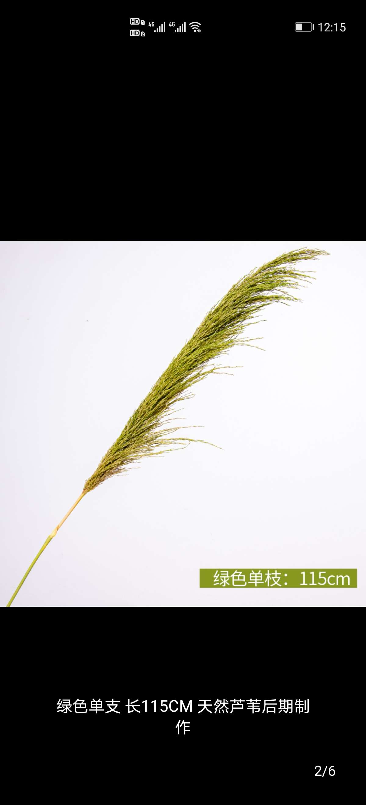 Single reed onion grass wedding decorative items, window display decoration props, and visual merchandising ornaments undefined