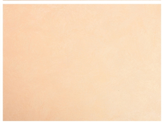 PLASTER 赛维娜丝绸系列4kg浅橘白底实物图