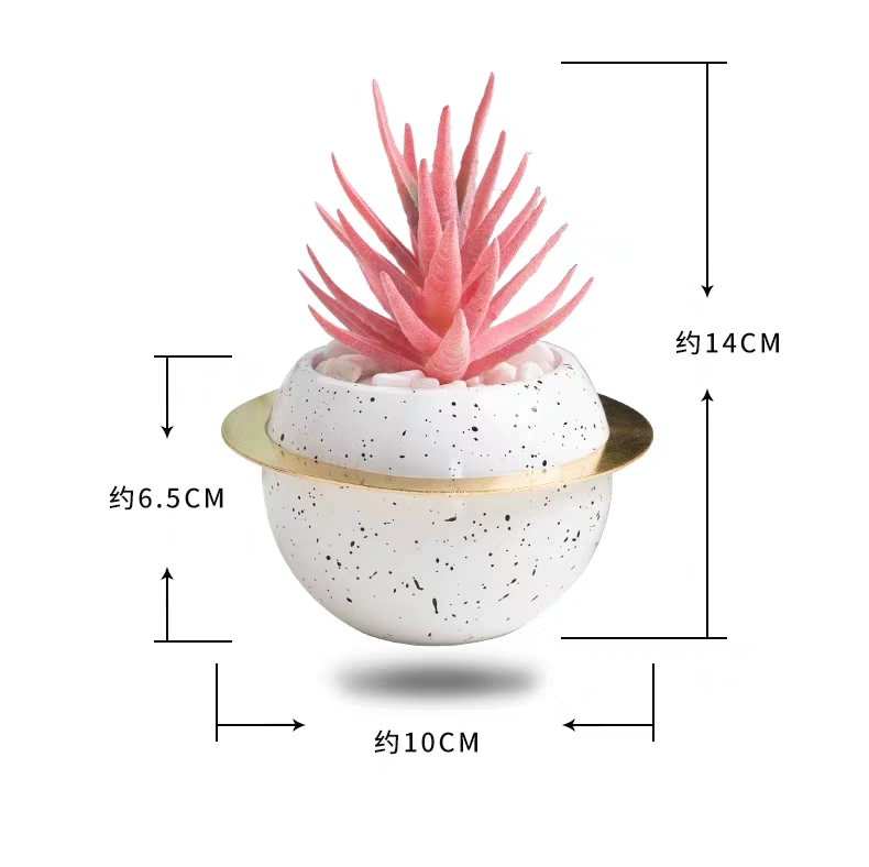涵旅工艺品创意陶瓷星球仿真多肉植物盆栽盆景家居装饰摆件茶几电视柜餐桌桌面装饰品细节图