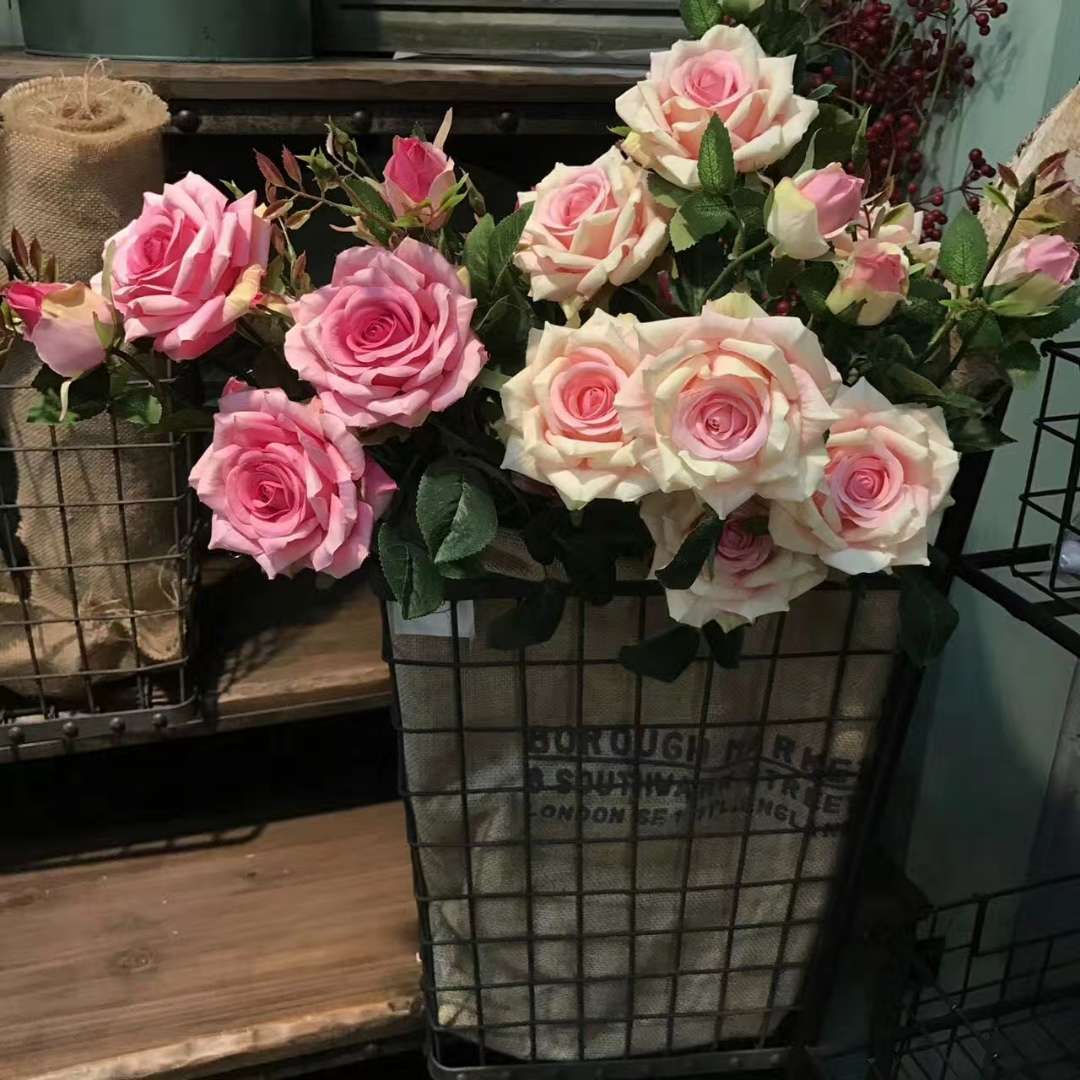 单支3头巴黎玖瑰