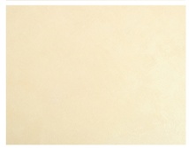 PLASTER 赛维娜丝绸系列4kg浅黄色