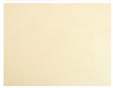 PLASTER 赛维娜丝绸系列4kg浅黄色