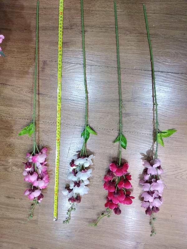 单支冬腊梅产品图