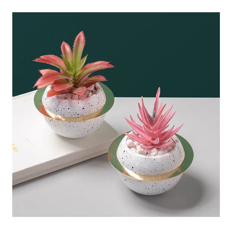 涵旅工艺品创意陶瓷星球仿真多肉植物盆栽盆景家居装饰摆件茶几电视柜餐桌桌面装饰品详情图6