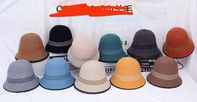 Winter Wool Hat