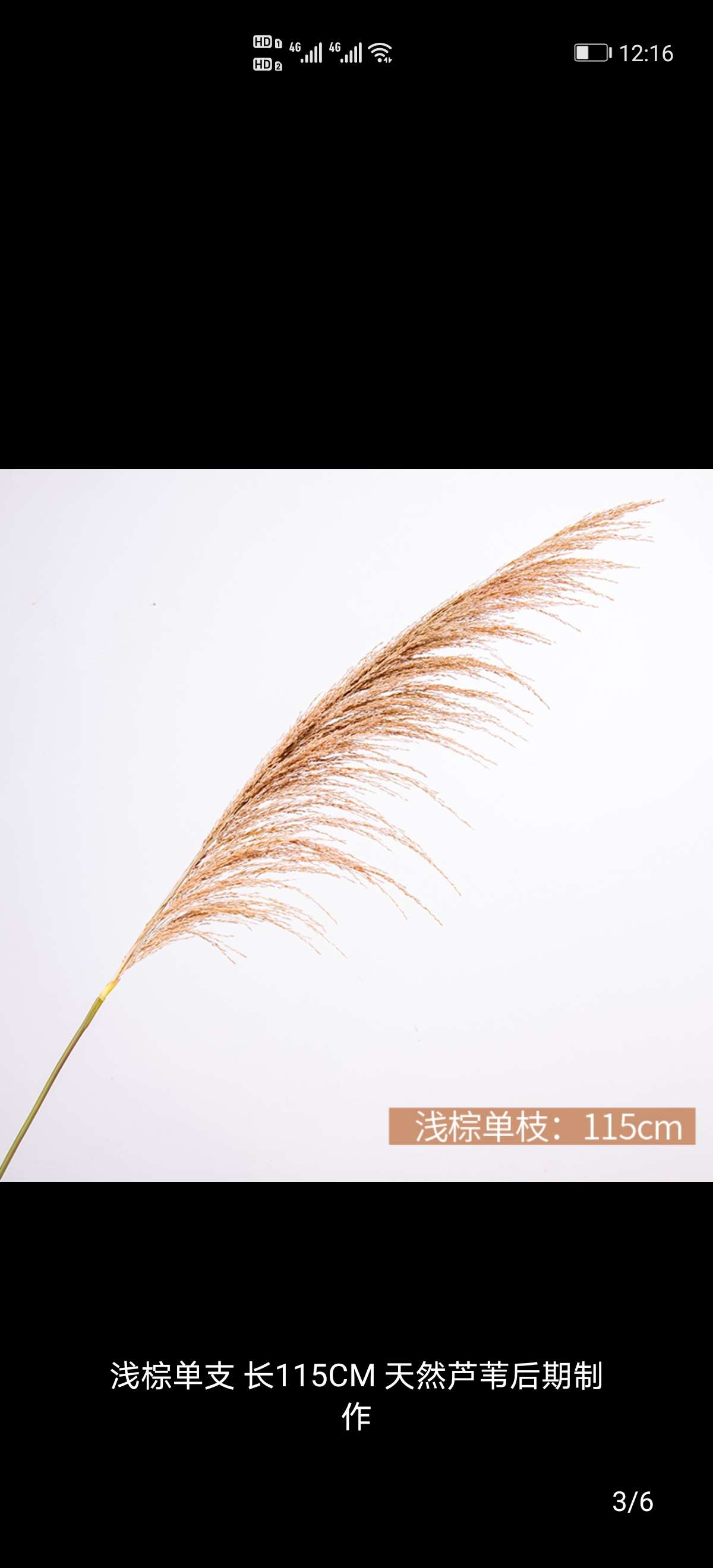 Single reed onion grass wedding decorative items, window display decoration props, and visual merchandising ornaments Specification image